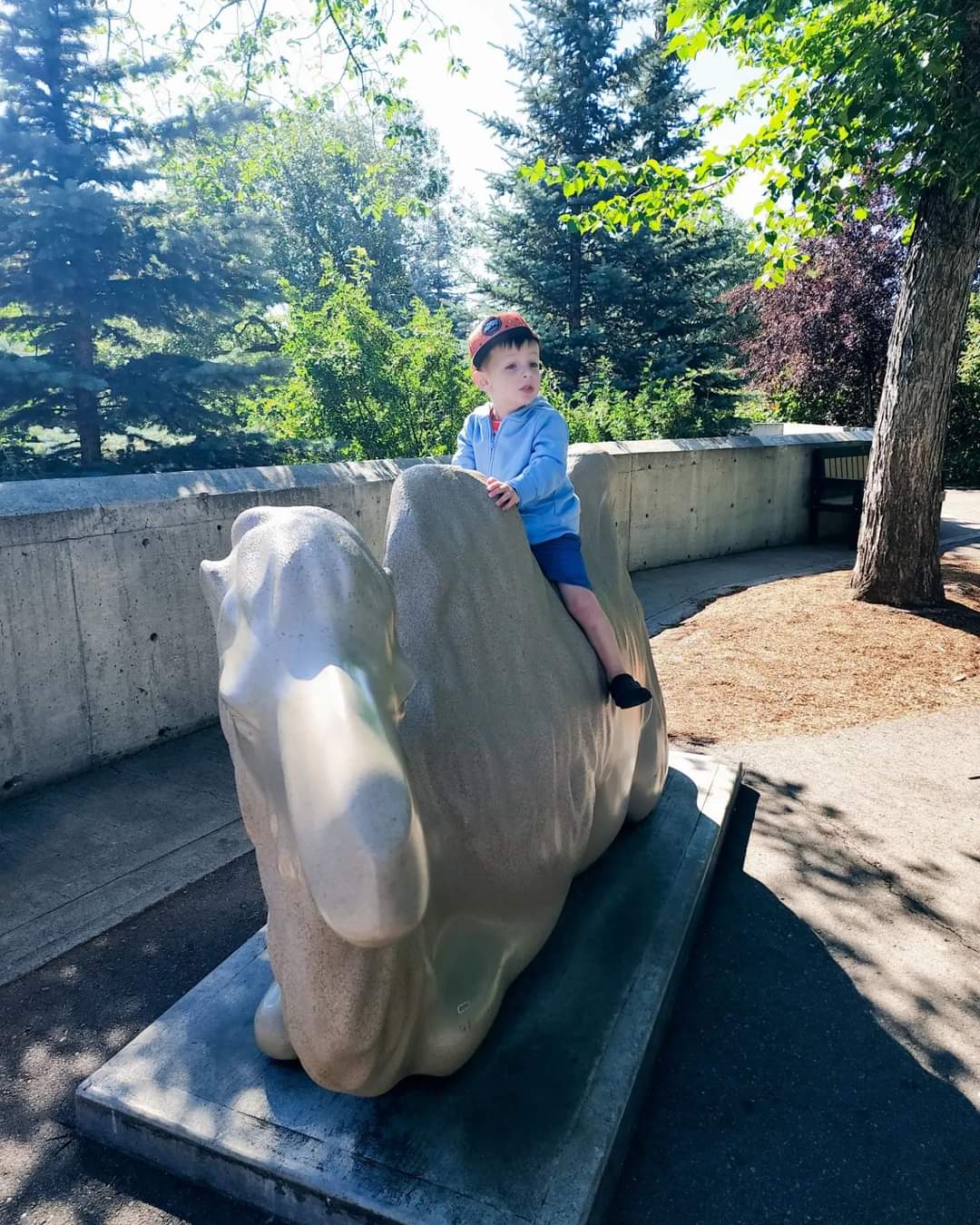 Everett, Dr. Joseph Tanti's eldest son- sitting on a camel at the Zoo